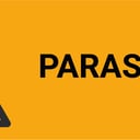 ISO7010_Parasailing-02.jpg
